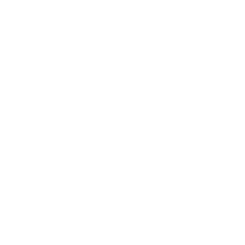 Fancy Rental